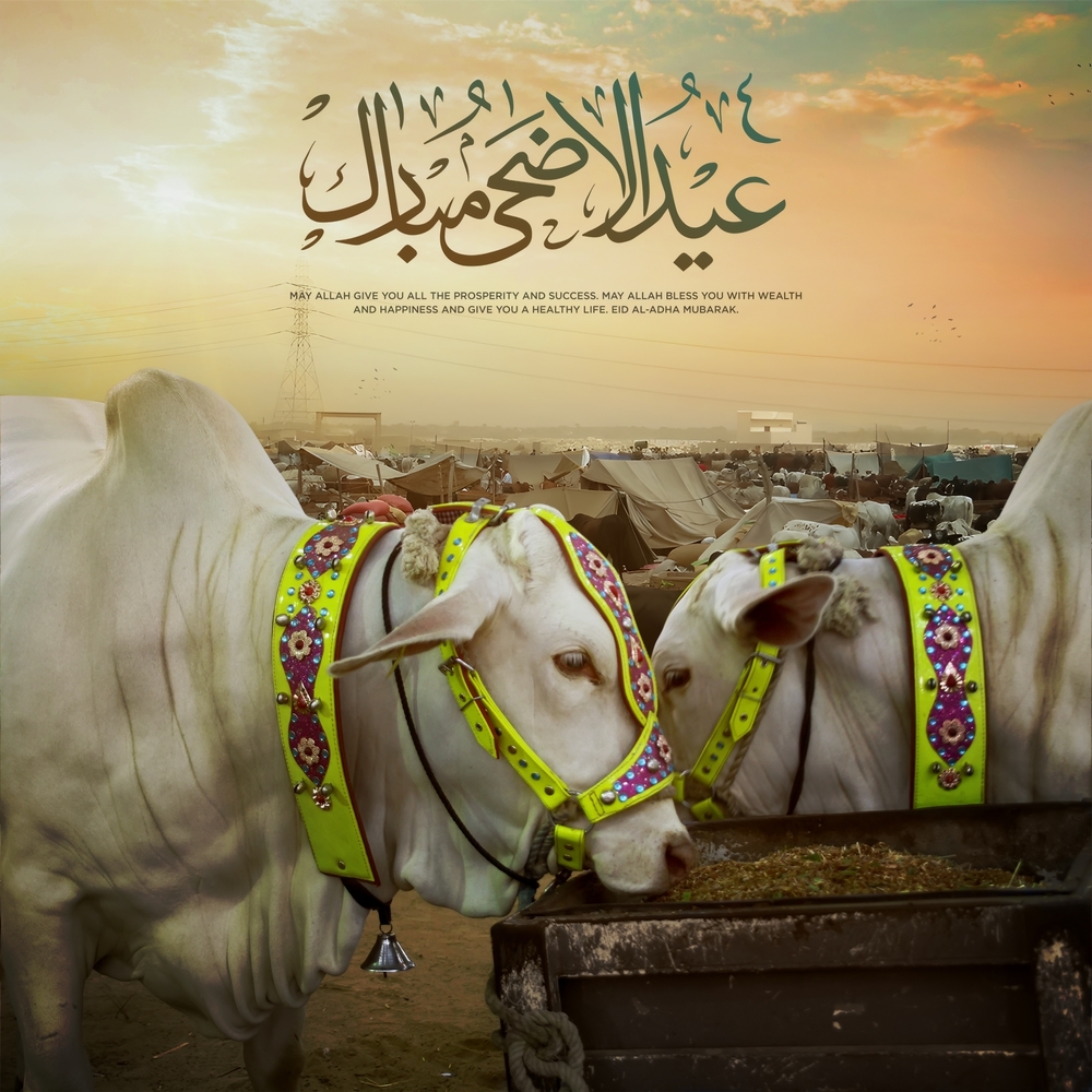 Eid ul Adha: A Comprehensive Overview